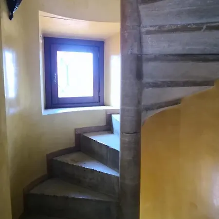 Secret Royal View